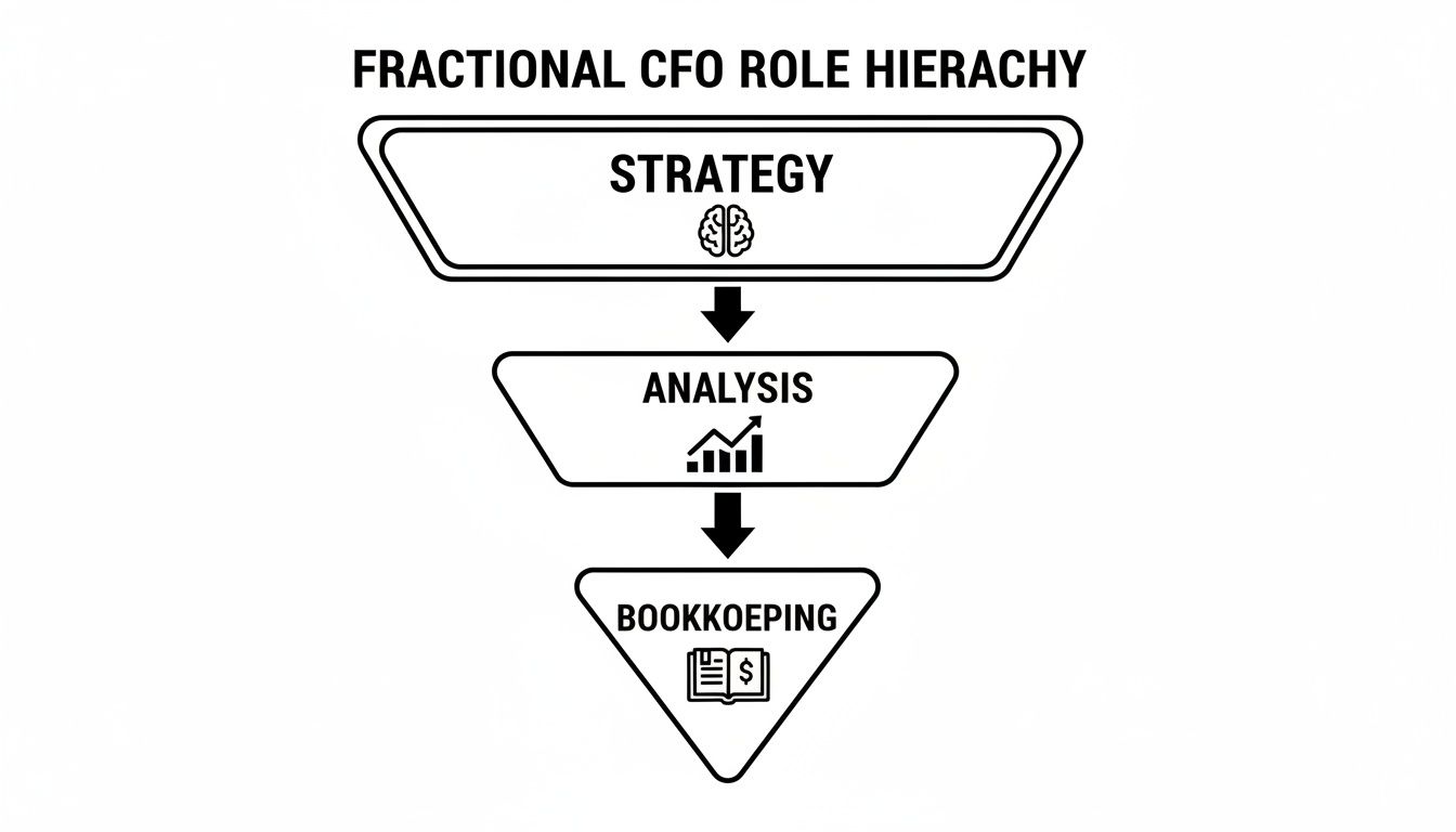 A diagram illustrating the fractional CFO role hierarchy: Strategy, Analysis, and Bookkeeping in a top-down funnel.
