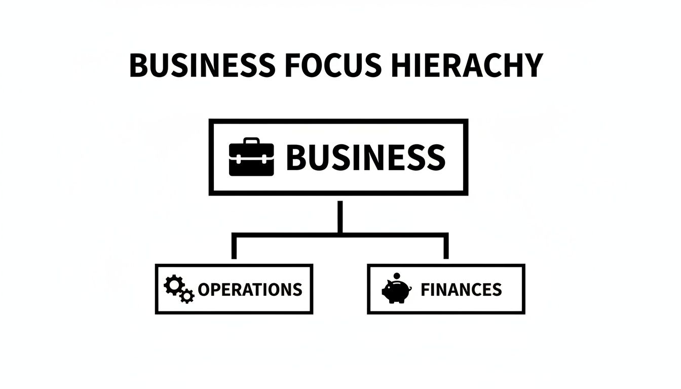 A business focus hierarchy diagram showing business branching into operations and finances.