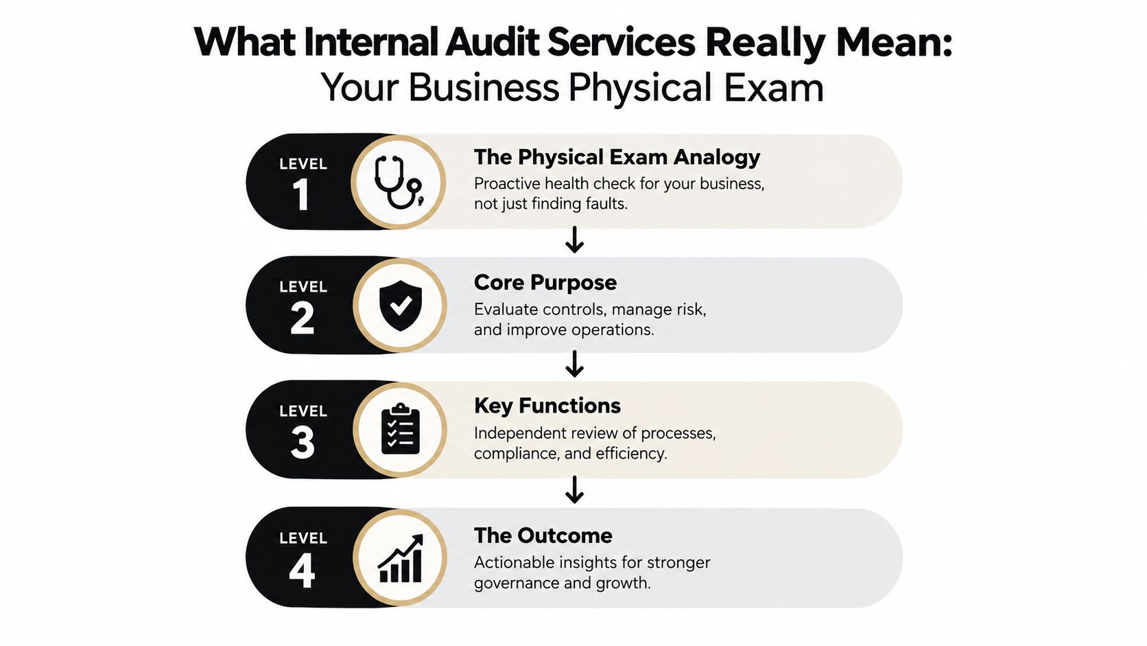 A four-level infographic explaining how internal audit services act as a proactive physical exam for business health.
